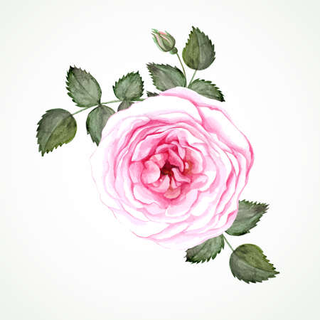Pink Tea Rose Clip Art